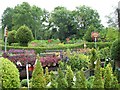 Masses of greenery at the Annett