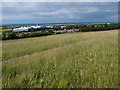 Royston as seen from Therfield Heath