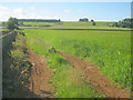 Farmland west of Harlaxton