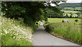 Minor road south-east of Cowesby