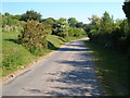 Lane to West Stoke Farm