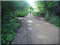 The end of the original platforms on Crouch End station