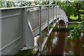 Footbridge in Wilton Park, Hawick