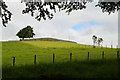 Ancient enclosure above Wilton Dean