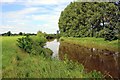 SJ4152 : The River Dee/Afon Dyfrdwy near Crewe-by-Farndon by Jeff Buck