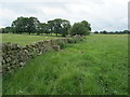 Monk Wall near Dinmore House