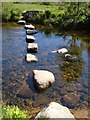 Stepping stones across the Swincombe