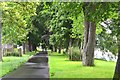 Riverside path, Builth Wells