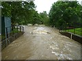 River Asker in flood at Bridport