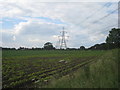 Potatoes and Pylons