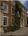 Magnolia, Forty Hall