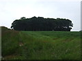 NU1733 : Farmland and woodland near Burton by JThomas