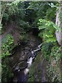 How Steam Gorge