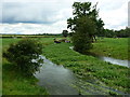 ST9997 : The young River Thames looking good after all this summer's rain by Ruth Sharville