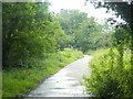 Footpath between the Gabalfa Interchange and Heath Hospital, Cardiff