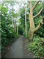 Footpath behind St Angela Rd, from its junction with St Agnes Rd, Cardiff