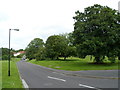 Tree-lined Trym Cross Road, Sea Mills, Bristol