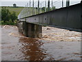 Victoria Footbridge Over The Whiteadder Water