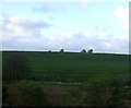 NU1531 : Farmland near Waren Burn by JThomas