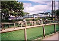 Donkey rides beside the coach park in 2002