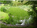 Lake at Durham Light Infantry Museum