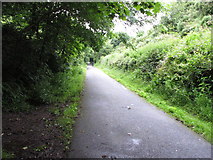 W7170 : Cycle track, former railway from Rochestown to Cork by David Hawgood