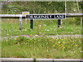 TG1805 : Dragonfly Lane sign by Geographer