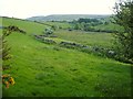 Broadaford Brook valley