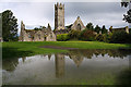 R4746 : Adare Friary by Mike Searle