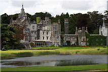 R4746 : Adare Manor by Mike Searle