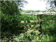 TQ5606 : Stile on the footpath from Robins Post Lane by Dave Spicer