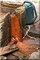 Iron water spring at Canal Bridge, Austen Fen