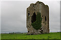 R5111 : Castles of Munster: Templeconnell, Cork by Mike Searle