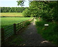 Footpath at Swithland Wood