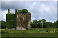 R0509 : Castles of Munster: Kilmurry, Kerry (1) by Mike Searle