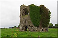 R3739 : Castles of Munster: Rathnasaer, Limerick by Mike Searle
