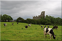 R3945 : Castles of Munster: Cappagh, Limerick (1) by Mike Searle
