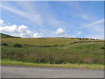 NX3075 : Farmland near Loch Bennan by Billy McCrorie