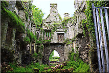 S0043 : Castles of Munster: Killenure, Tipperary (5) by Mike Searle