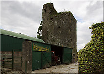 S0648 : Castles of Munster: Nodstown, Tipperary (3) by Mike Searle