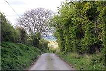 SU5585 : The road down to Aston Tirrold by Steve Daniels