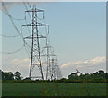 SK5306 : Electricity pylons near Glenfield by Mat Fascione