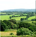 Overlooking Brede Valley