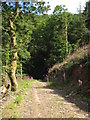 Footpath to Eastern Wood