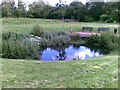 Pond, Ladywell Fields