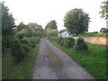 Manor House driveway, Rampton