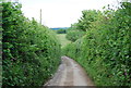 Narrow lane to Waterslade