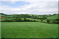 Devon countryside south of Blackawton