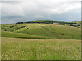 View From Castle Hill (1)