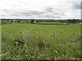 Bridgetown Townland